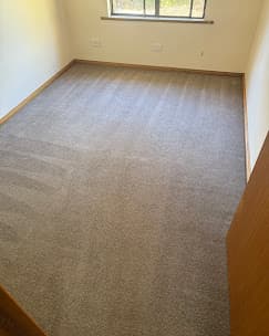 Kin Corporate Clean Project 10